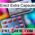 Erect Extra Capsule 36